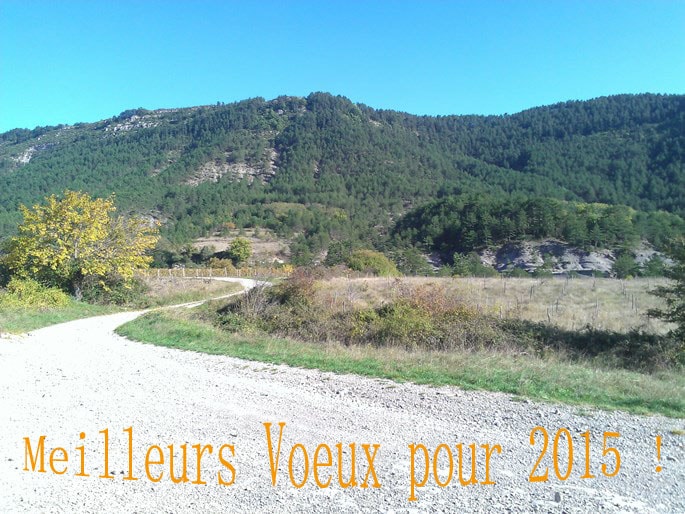 2015
