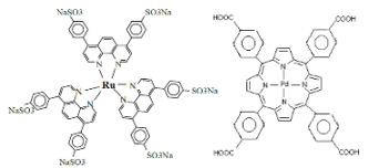Sonde O2